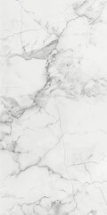 Obraz premium White Marble Texture - Luxurious, Natural Stone Wallpaper and Tile Background. Ideal for Ceramic Art, Interior Design, and Creative Backdrops.