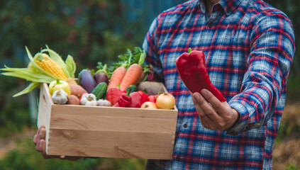 a male farmer holds a box of vegetables in his hands. Selective focus