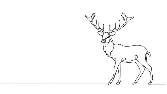 animated continuous single line drawing of stag, line art animation 
