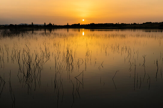 Tranquil sunset over calm lake waters, Tablas de Daimiel, Spain
