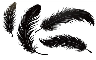Hand drawn vector black and white feather art