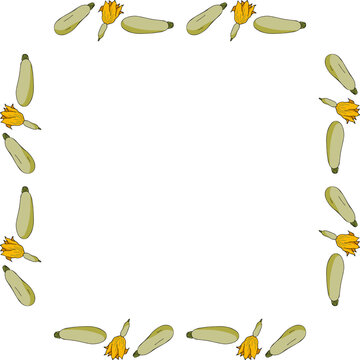 Square frame with cute green zucchini on white background. Vector image.