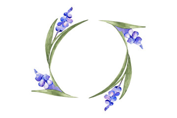 Watercolor painting of purple hyacinth flower with leaves in shape of round frame on transparent background