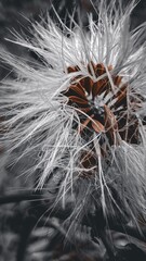 Vertical closeup of a dandelion in a field