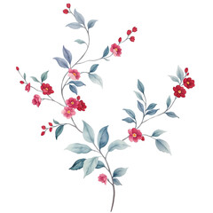 flower transparent background