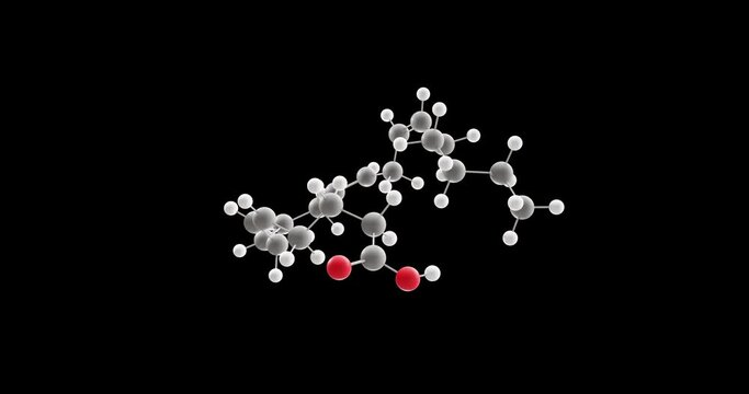 Arachidonic acid molecule, rotating 3D model of omega-6 fatty acid, looped video on a black background
