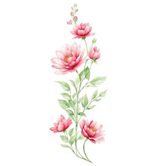 Fototapeta premium flower transparent background