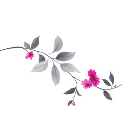 flower transparent background