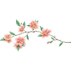 flower transparent background