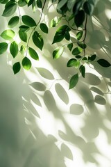 Sunlight Filtering Through Lush Green Leaves on a Bright Summer Day