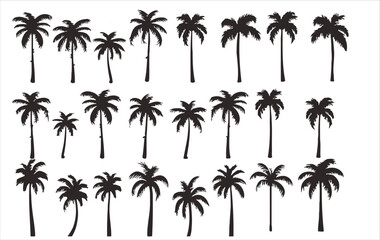 Vector set of palm trees on a white background - obrazy, fototapety, plakaty