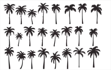 Foto op Aluminium Vector set of palm trees on a white background © Wirestock
