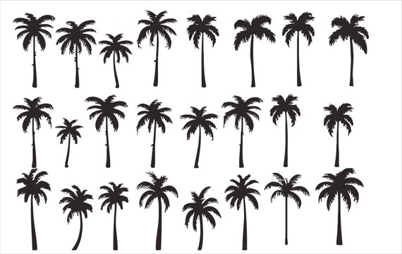 Vector set of palm trees on a white background