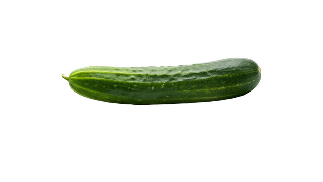A fresh cucumber isolated on Transparent background.