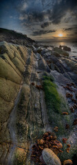 Seabed with moss and algae during low tide at sunset - 764649248