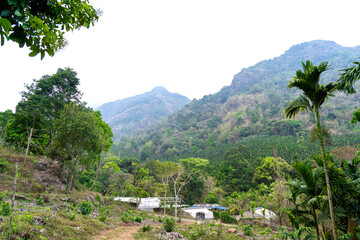 Fototapeta na wymiar Kerala mountain ranges, landscapes