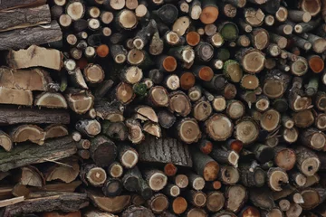 Foto auf Acrylglas Fire wood stock ready for winter season. Cut wood texture © saratm