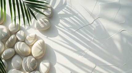 Spa Background: Natural white stones, palm leaves and shadows on white background.