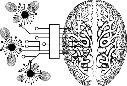 Vektor Gehirn - KI Digitales Wissen - Lernen und Denken - Psychologie mit Künstlicher Intelligenz