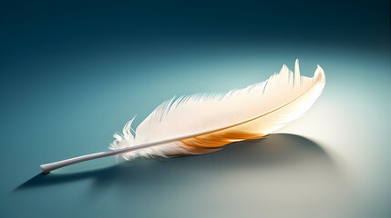 Obraz premium soft feathers