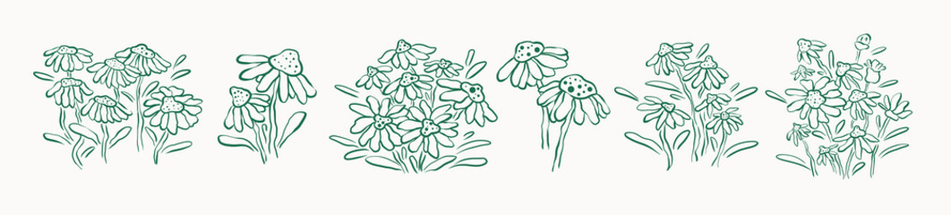 Sketch daisy flowers line art collection vector, cute flowers line art