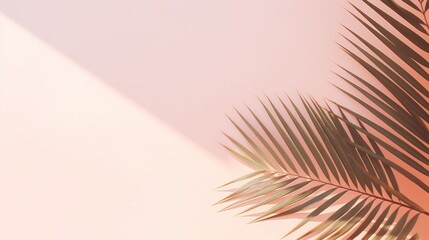 Fototapeta na wymiar Minimalist background with palm leaves