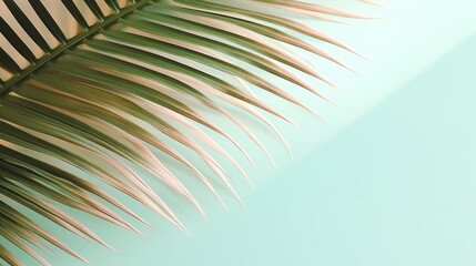 Fototapeta premium Minimalist background with palm leaves