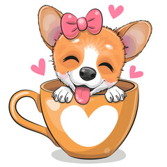 Corgi with pink bow is sitting in a Cup