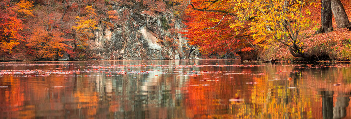Beautiful autumn forest with yellow-red colors next to the lake, reflected in the water
