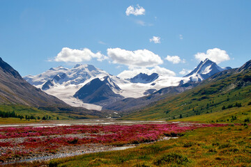 shallowed river and bright flowers among an alpine meadow in a green valley surrounded by high mountains with snow-capped peaks - obrazy, fototapety, plakaty