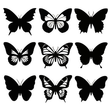 Butterfly_Silhouettes_Butterfly_silhouette_collection