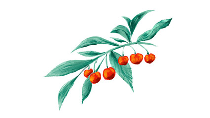branch of rowan cherry