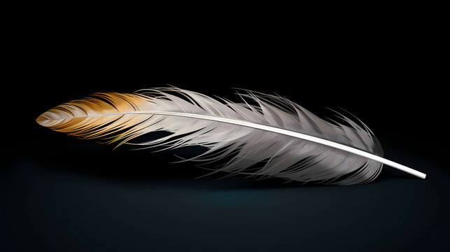 image of feathers