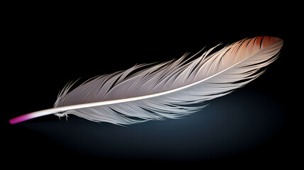 Obraz premium image of feathers