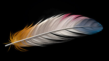 Obraz premium image of feathers