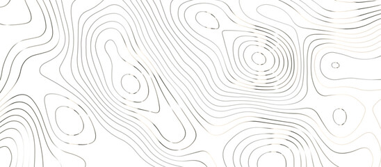 Topographic map background geographic line map pattern .panorama view silver color wave curve lines .geographic mountain relief abstract grid .the concept map of a conditional geography map .