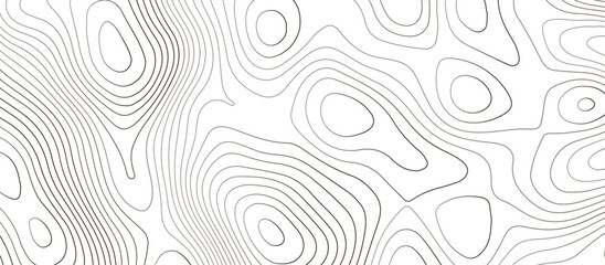 Fototapeta na wymiar Topographic map background geographic line map pattern .panorama view black color wave curve lines .geographic mountain relief abstract grid .the concept map of a conditional geography map .