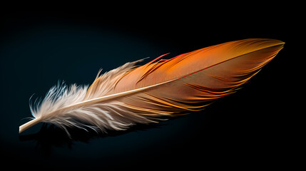 Obraz premium Exquisite feather close-up with intricate details