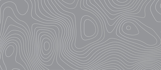 Topographic map background geographic line map pattern .panorama view gray color wave curve lines .geographic mountain relief abstract grid .the concept map of a conditional geography map .