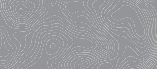Topographic map background geographic line map pattern .panorama view gray color wave curve lines .geographic mountain relief abstract grid .the concept map of a conditional geography map .