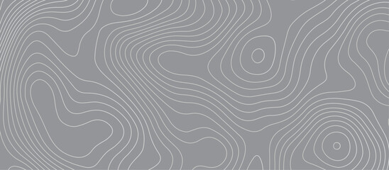 Topographic map background geographic line map pattern .panorama view gray color wave curve lines .geographic mountain relief abstract grid .the concept map of a conditional geography map .