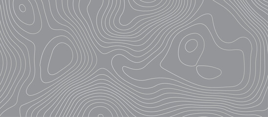 Topographic map background geographic line map pattern .panorama view gray color wave curve lines .geographic mountain relief abstract grid .the concept map of a conditional geography map .