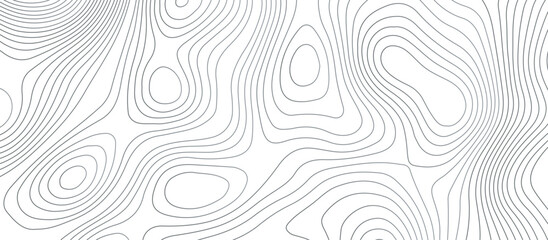 Fototapeta premium Topographic map background geographic line map pattern .panorama view gray color wave curve lines .geographic mountain relief abstract grid .the concept map of a conditional geography map .