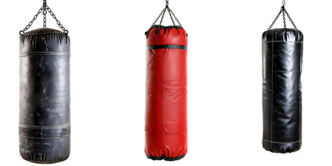 Set of Boxing Punching Bags on Transparent Background