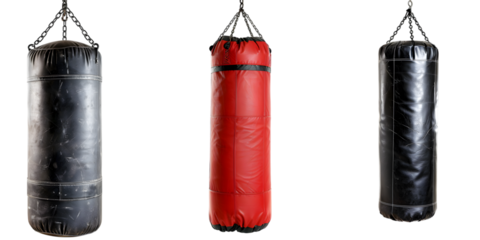 Set of Boxing Punching Bags on Transparent Background