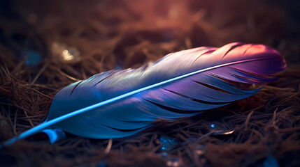 Exquisite feather close-up with intricate details