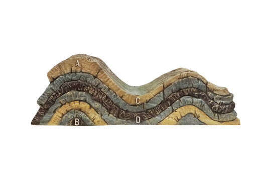Normal anticlines and synclines model in geology. Concordant and Discordant Strata rock model isolated on white background.