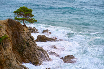 Spain. Lloret de Mar. Rocks, sea, beach