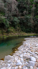 田舎を流れる清流