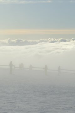 Brouillard